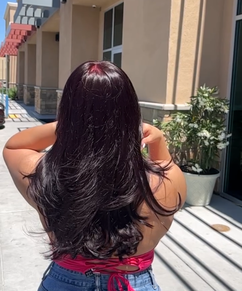 The back of a woman's head with long hair